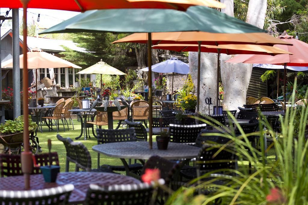 Oakdene Vineyards Guesthouse Wallington Экстерьер фото