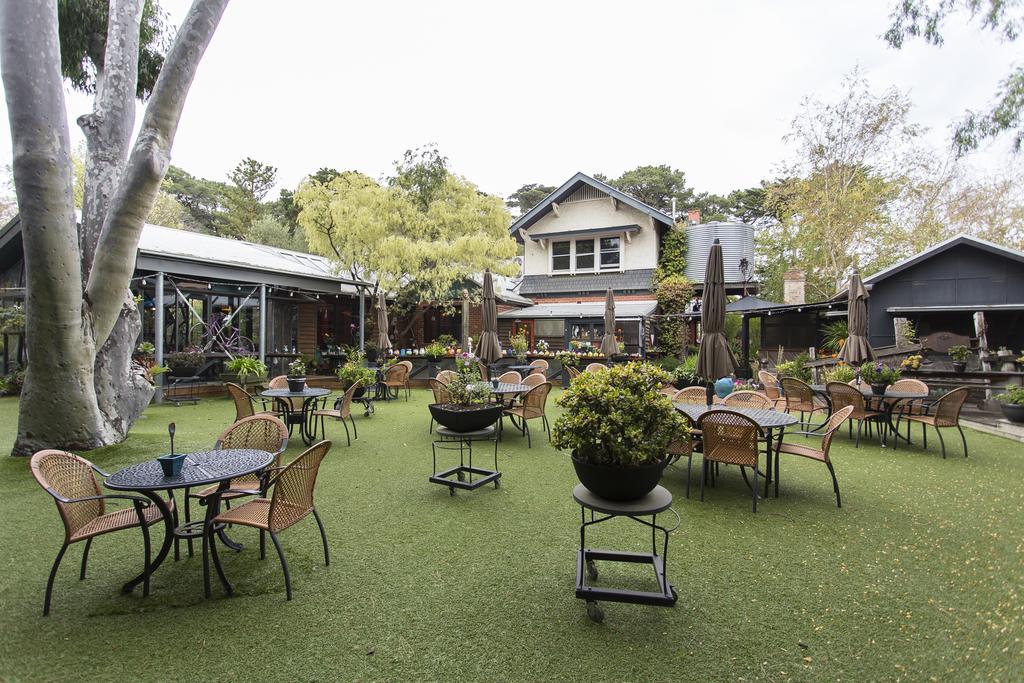 Oakdene Vineyards Guesthouse Wallington Экстерьер фото